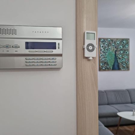 Sasu Apartment 蒂米什瓦拉 外观 照片