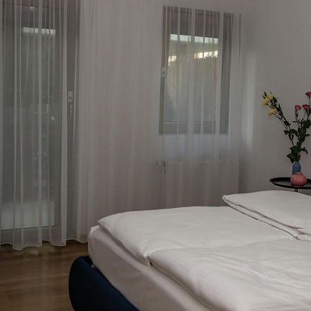 Sasu Apartment 蒂米什瓦拉 外观 照片