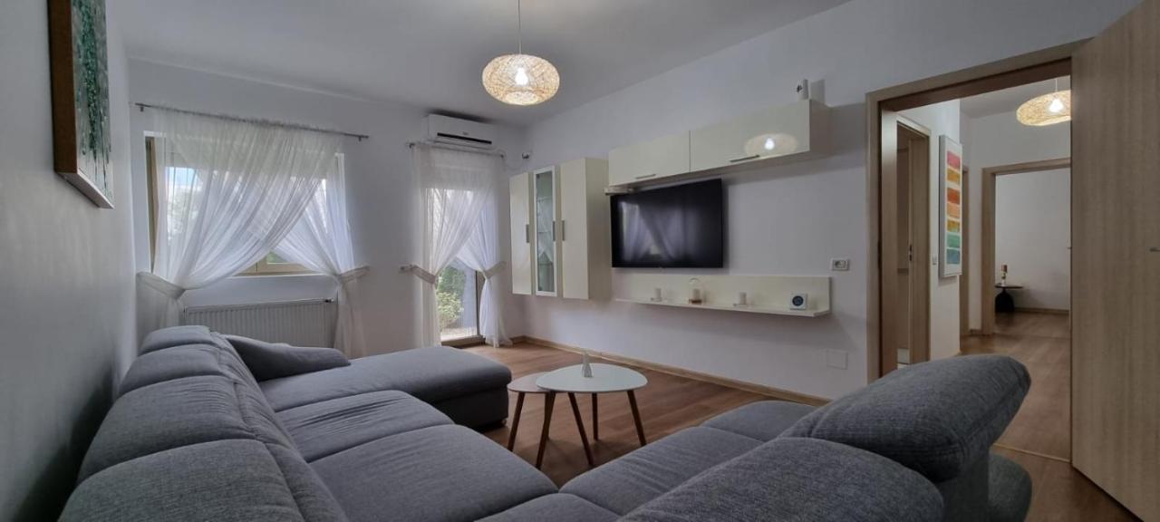 Sasu Apartment 蒂米什瓦拉 外观 照片