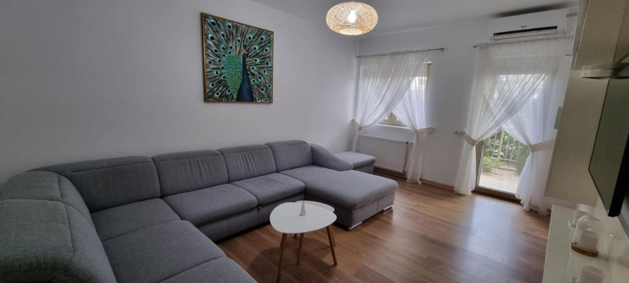 Sasu Apartment 蒂米什瓦拉 外观 照片