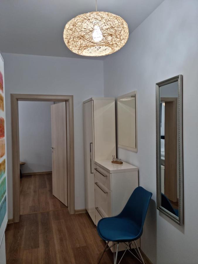 Sasu Apartment 蒂米什瓦拉 外观 照片