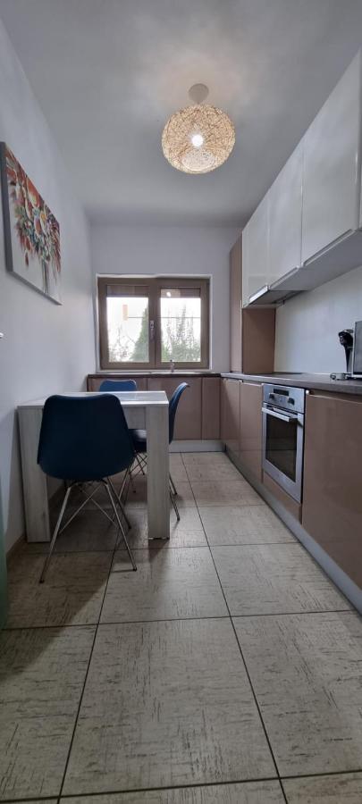 Sasu Apartment 蒂米什瓦拉 外观 照片