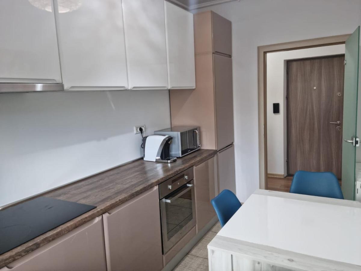 Sasu Apartment 蒂米什瓦拉 外观 照片