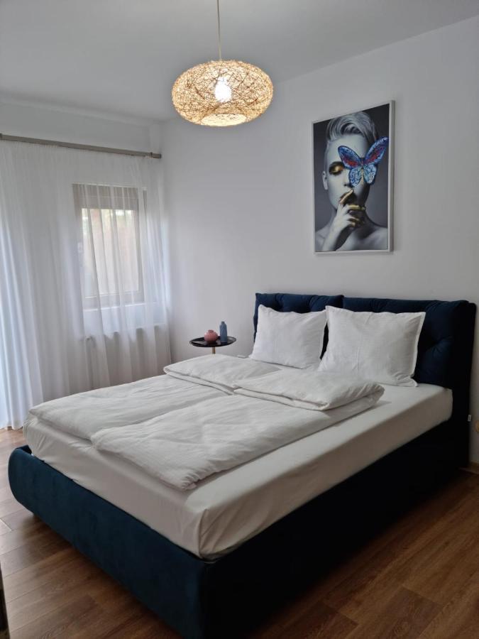 Sasu Apartment 蒂米什瓦拉 外观 照片