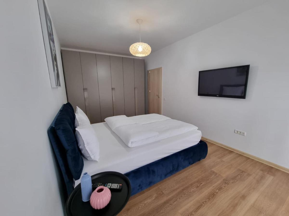 Sasu Apartment 蒂米什瓦拉 外观 照片
