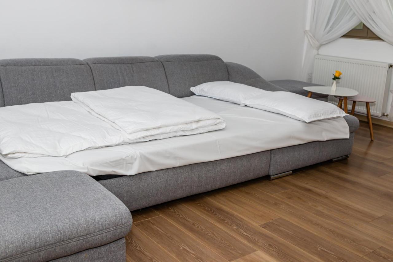 Sasu Apartment 蒂米什瓦拉 外观 照片