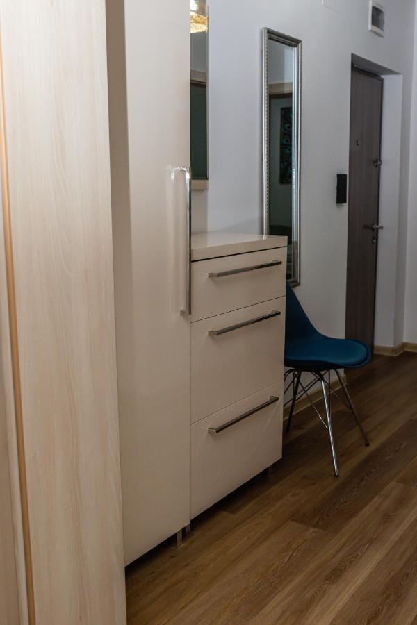 Sasu Apartment 蒂米什瓦拉 外观 照片