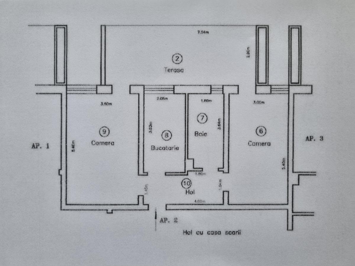 Sasu Apartment 蒂米什瓦拉 外观 照片